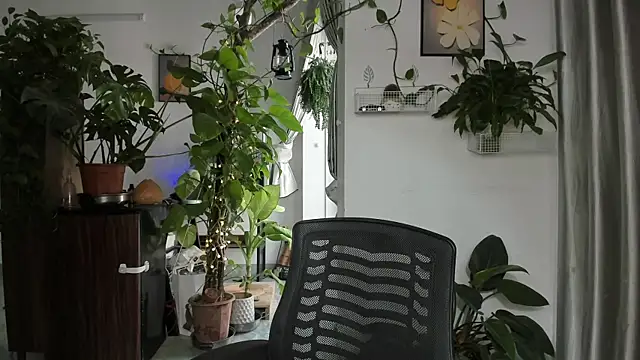 Oliver Nl online show from 12-14-25, 05:02