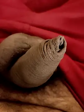 Snapshot of Ashish02345 chatting on 01-25-25, 08:31 Ashish02345 online show from 01-25-25, 08:31