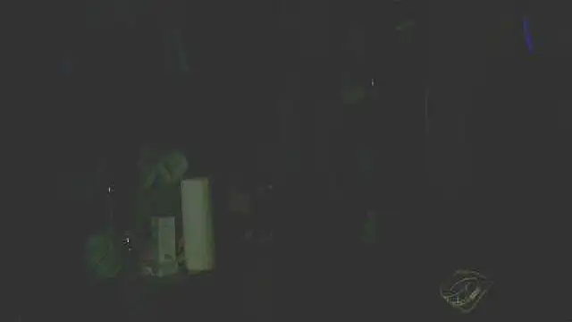 perversalus online show from 12-14-25, 05:29