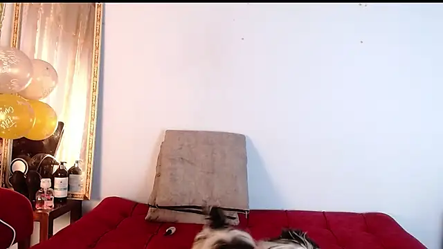 Tamararios online show from 11-27-25, 10:01