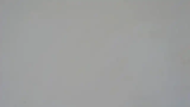 GiseleReine online show from 02-05-25, 01:33