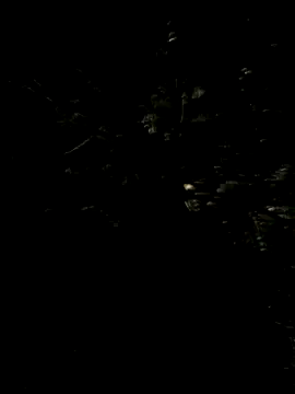 Hancoxx online show from 07-22-26, 09:17