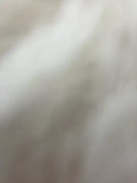 Snapshot of NewLale chatting on 01-27-25, 06:30 NewLale online show from 01-27-25, 06:30