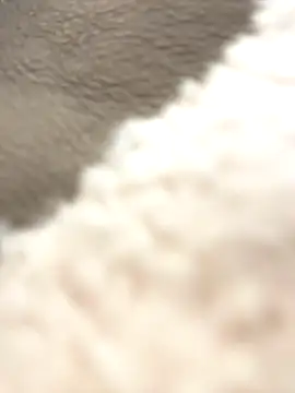 Snapshot of NewLale chatting on 10-12-25, 03:38 NewLale online show from 10-12-25, 03:38