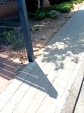 KinkyYours online show from 10-04-25, 10:24