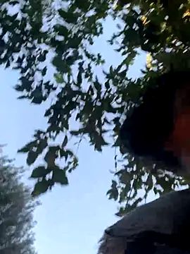 starrynikki online show from 10-24-25, 02:24