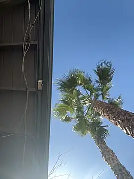 starrynikki online show from 02-06-26, 08:01