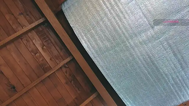 SilvaBranko online show from 03-25-26, 10:05