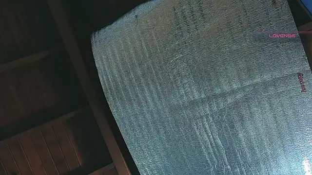 SilvaBranko online show from 04-13-26, 01:11