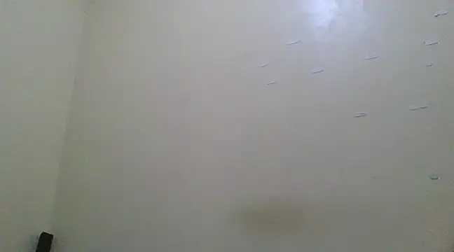 the geisha 2021k online show from 03-13-25, 06:45