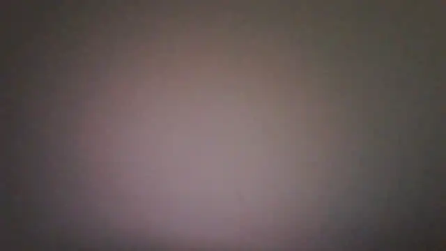 Vekie 007 online show from 07-04-26, 05:46