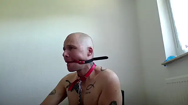 gaywolf426 online show from 07-29-26, 09:07