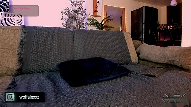 alex wolf  online show from 02-08-25, 02:04