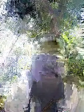 Javan  online show from 02-04-26, 11:05