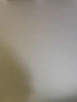 selenne schmitt online show from 04-26-26, 12:30