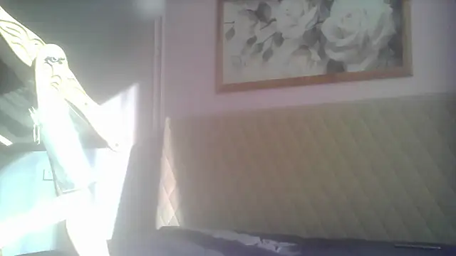 SunElizabeth online show from 06-12-26, 02:43