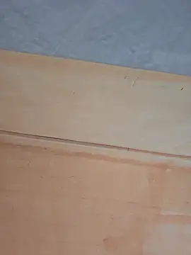 sexyindi couple online show from 11-28-25, 05:43