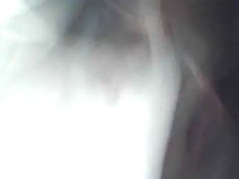Snapshot of technodotado chatting on 04-23-26, 02:13 technodotado online show from 04-23-26, 02:13