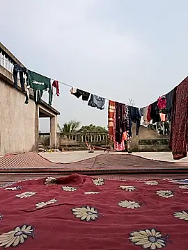 Ishikarana online show from 12-30-24, 08:32