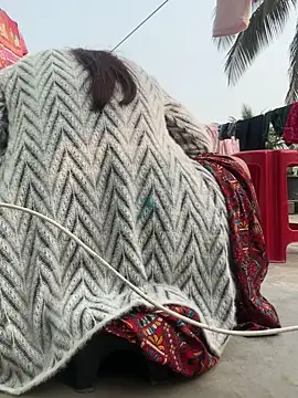 Ishikarana online show from 01-06-26, 09:24