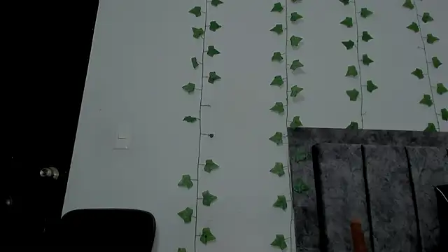 Miaa Garcia online show from 05-15-26, 11:12