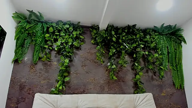 alice greco online show from 01-05-26, 06:55