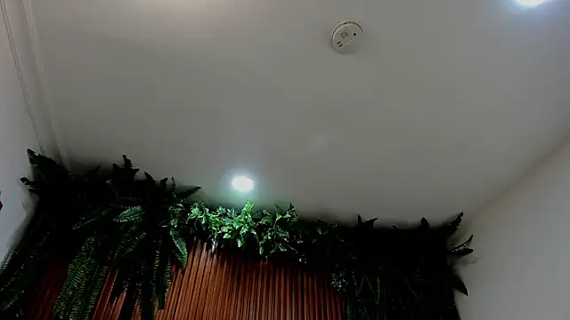 alice greco online show from 03-06-26, 07:10