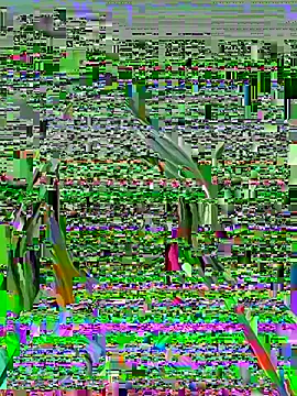 Snapshot of Vikki_toriya chatting on 03-01-26, 05:15 Vikki toriya online show from 03-01-26, 05:15