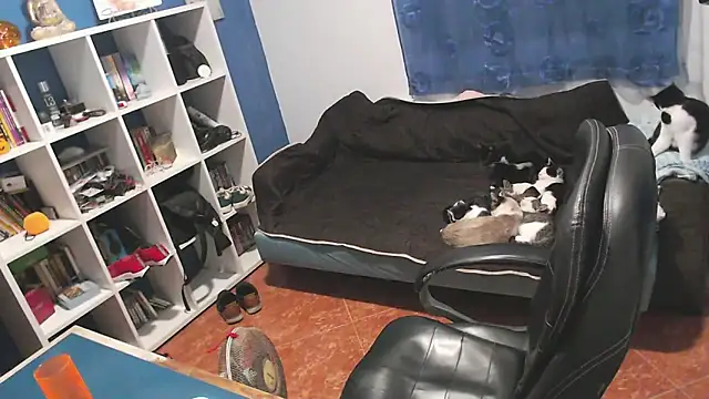 ravingr4d4 online show from 11-01-25, 10:01