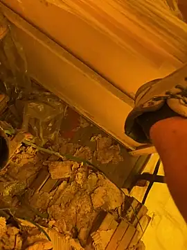 cussy007 online show from 04-13-26, 10:10