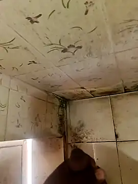 Snapshot of indiasexmf chatting on 10-11-25, 04:33 indiasexmf online show from 10-11-25, 04:33