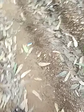 Snapshot of indiasexmf chatting on 12-16-25, 09:58 indiasexmf online show from 12-16-25, 09:58