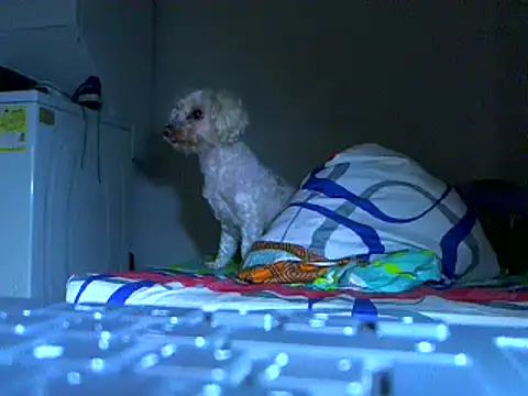 Ian zaenzz online show from 11-27-25, 05:09