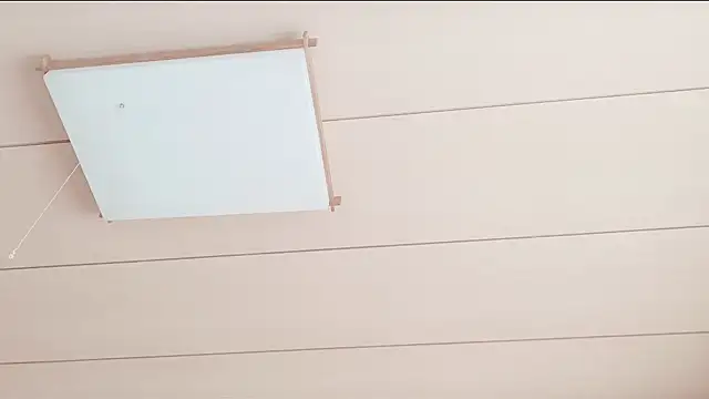 xxArisaxx online show from 01-10-26, 06:04