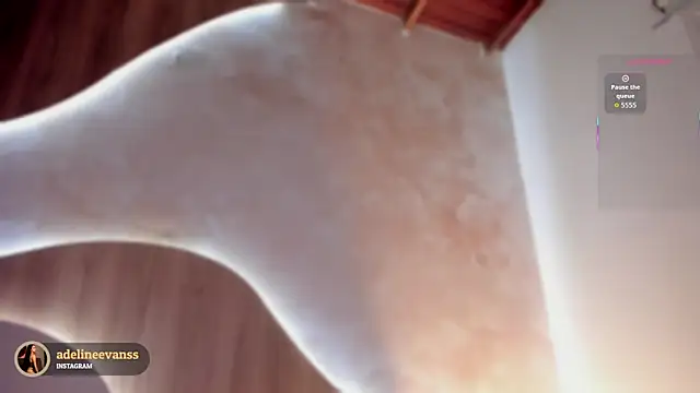 Snapshot of AdelineEvanss chatting on 12-01-25, 07:41 AdelineEvanss online show from 12-01-25, 07:41