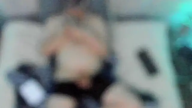 stillwild online show from 12-17-24, 06:53