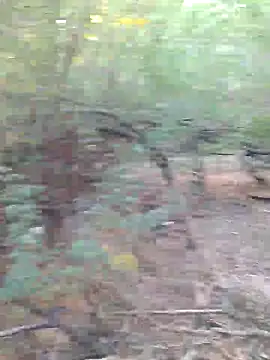 Ajith mvi online show from 03-29-26, 02:44