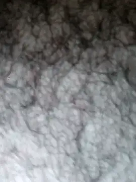 Hairyarabguy online show from 05-14-26, 11:11