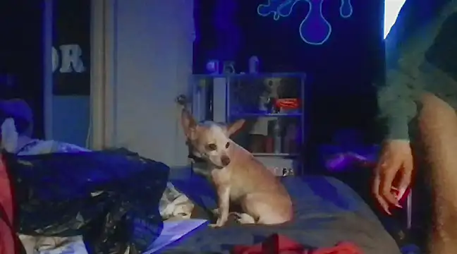 watermellonpussy online show from 12-28-24, 05:55