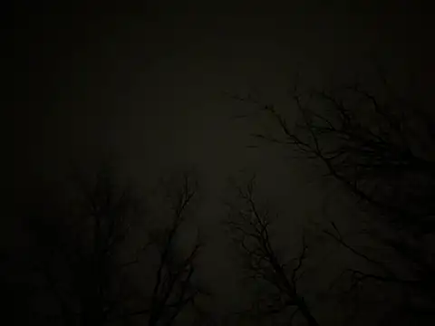 watermellonpussy online show from 03-23-25, 06:37