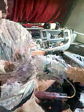 richa22cm online show from 11-12-25, 02:17