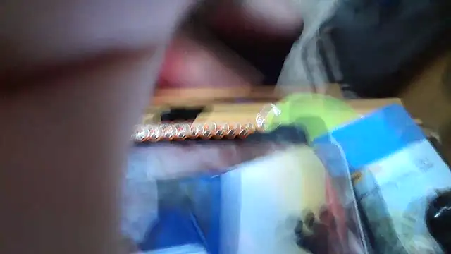 Javier bear online show from 01-15-26, 09:40