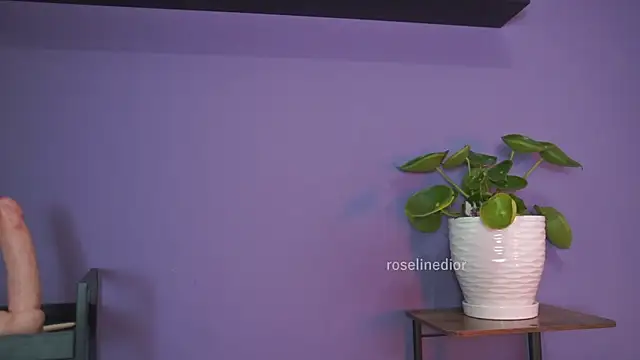 roselinedior online show from 05-26-26, 01:29