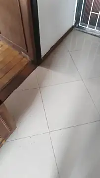 ssara miranda online show from 04-24-26, 02:41