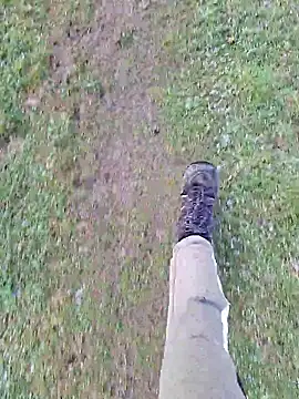 FreezingTie850 online show from 04-11-26, 10:41