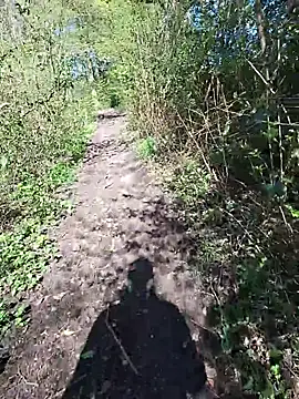 FreezingTie850 online show from 04-24-26, 09:45