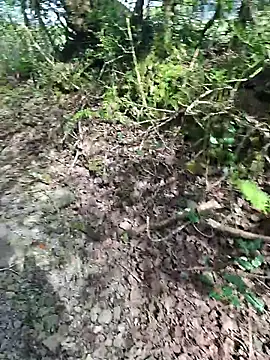 FreezingTie850 online show from 04-26-26, 09:51