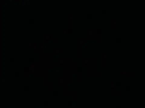 Tigerhill2023 online show from 04-26-26, 01:47