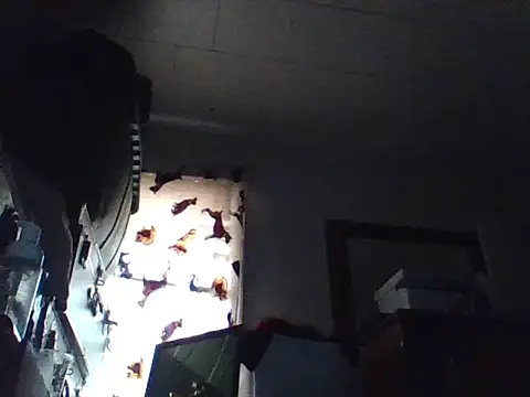 LongDickLance online show from 03-06-26, 04:03