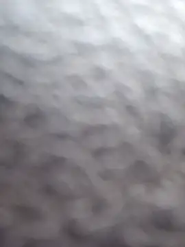 Snapshot of cdressupdiva chatting on 02-20-25, 10:26 cdressupdiva online show from 02-20-25, 10:26